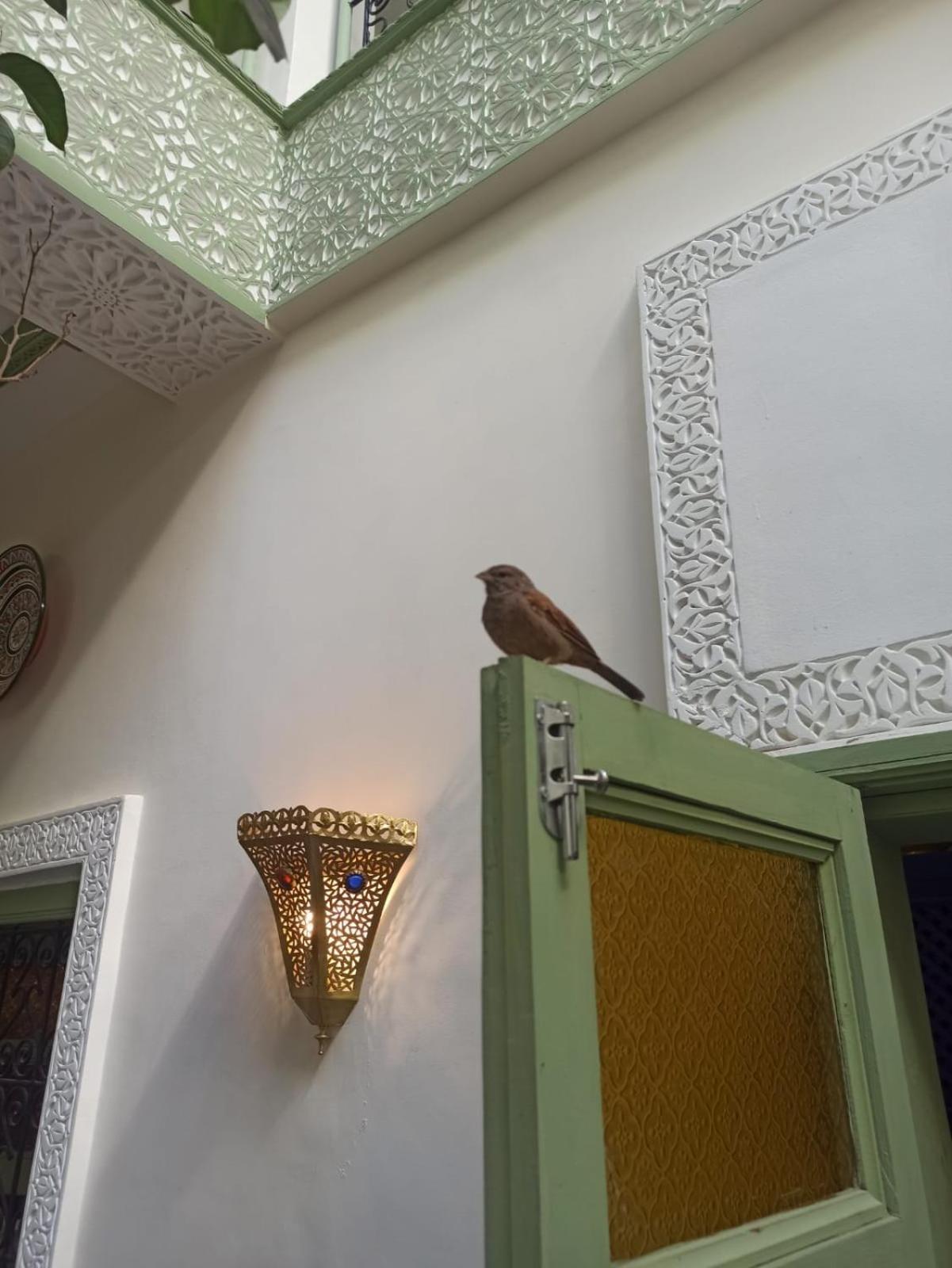 Riad Med Agora Marrakesh Buitenkant foto